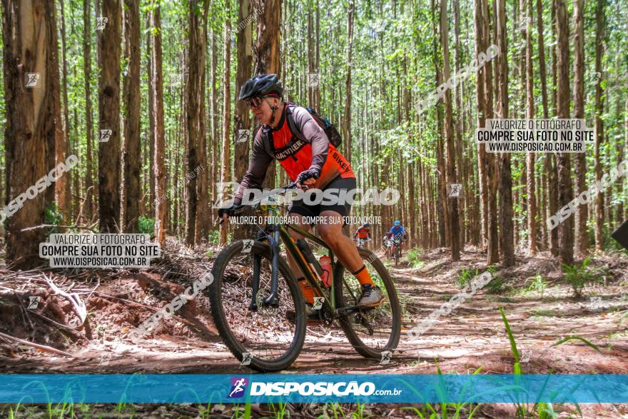 3° Desafio 100km de Terra