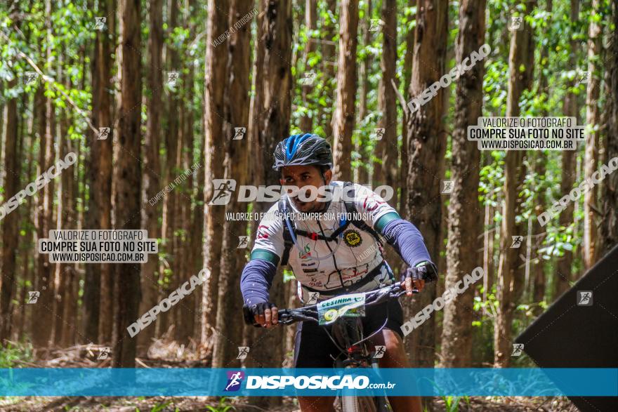 3° Desafio 100km de Terra