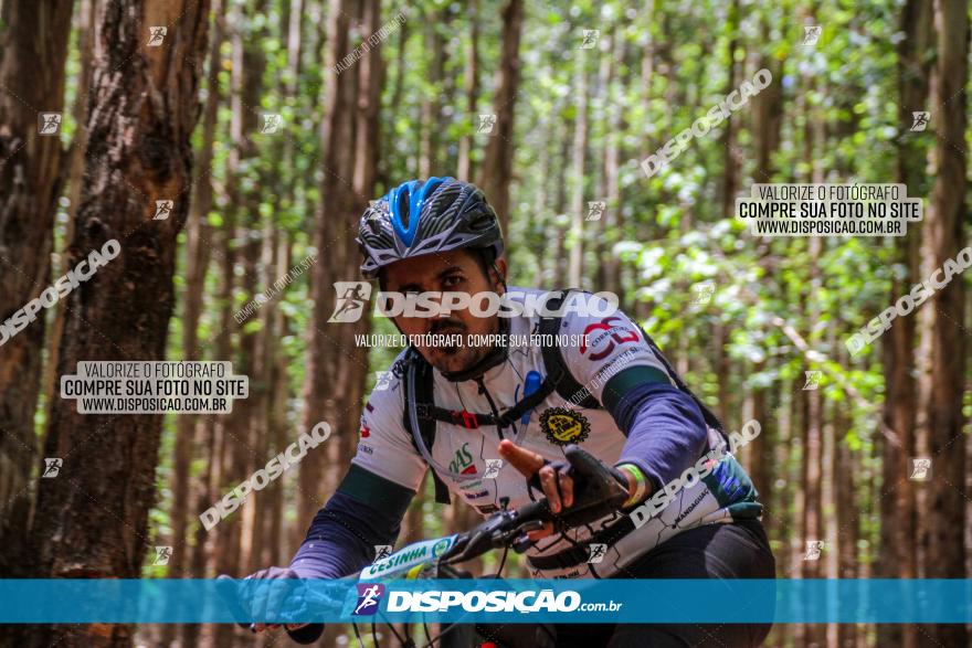 3° Desafio 100km de Terra