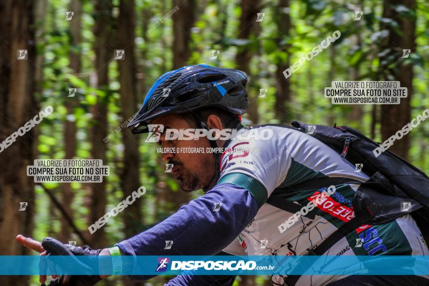 3° Desafio 100km de Terra