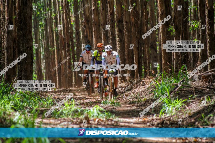 3° Desafio 100km de Terra