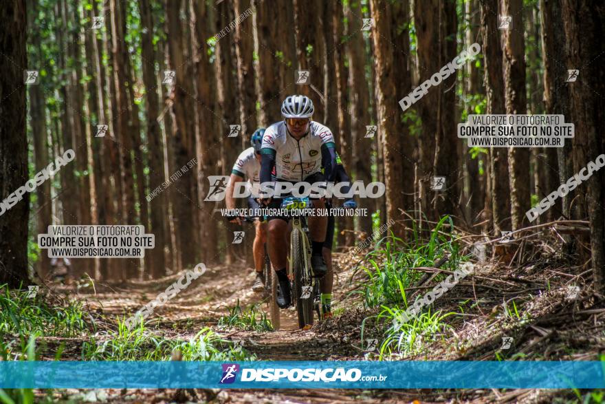 3° Desafio 100km de Terra