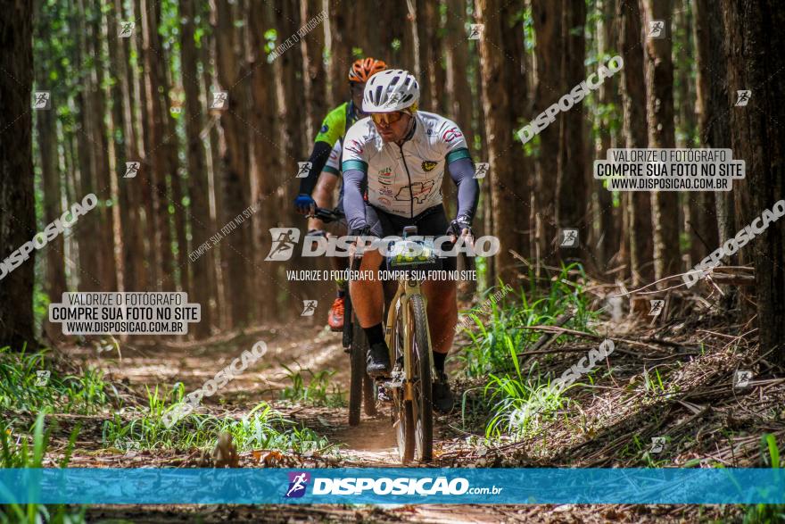 3° Desafio 100km de Terra