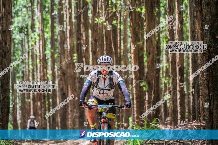 3° Desafio 100km de Terra