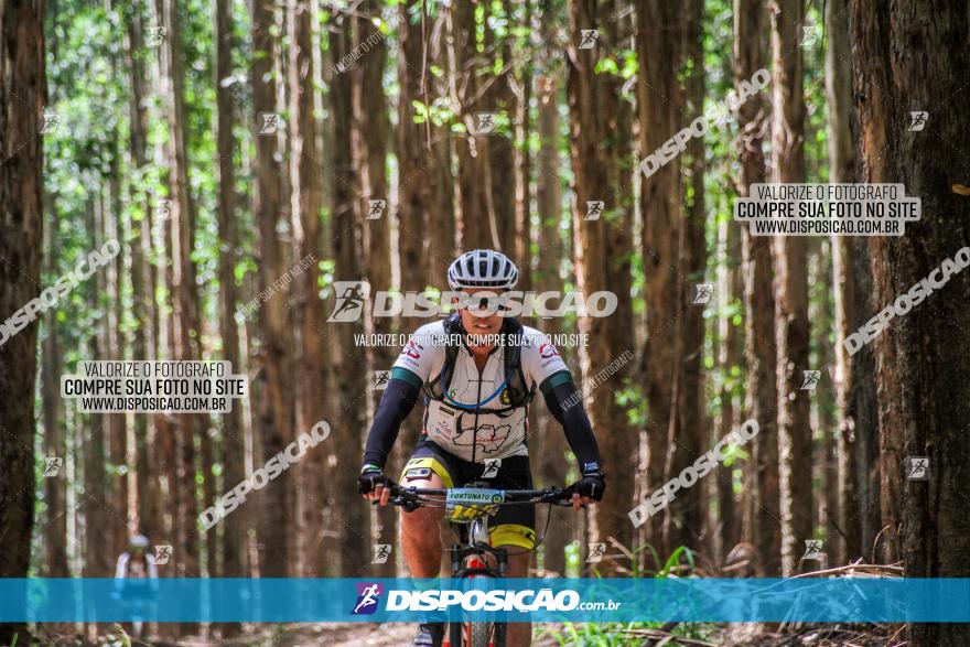 3° Desafio 100km de Terra