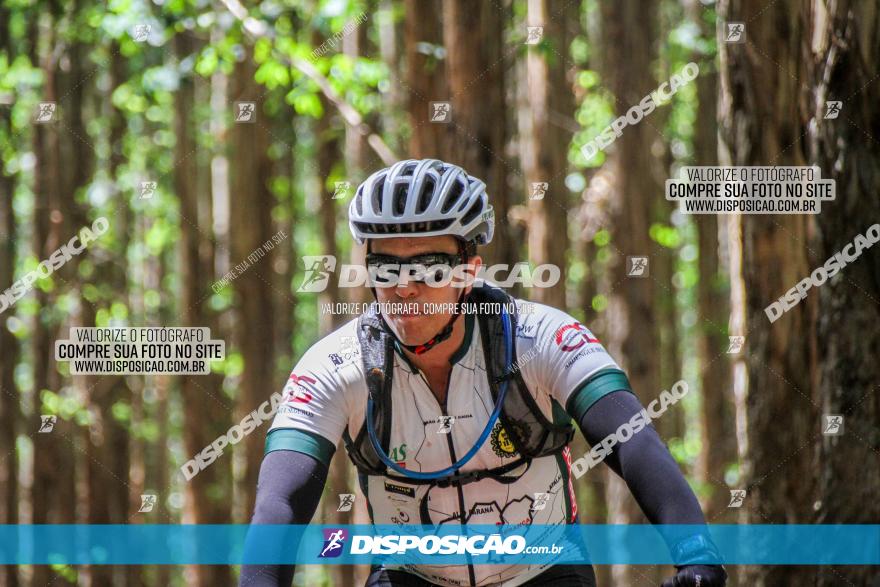 3° Desafio 100km de Terra