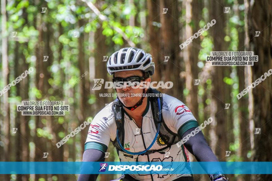 3° Desafio 100km de Terra