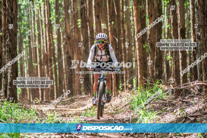 3° Desafio 100km de Terra