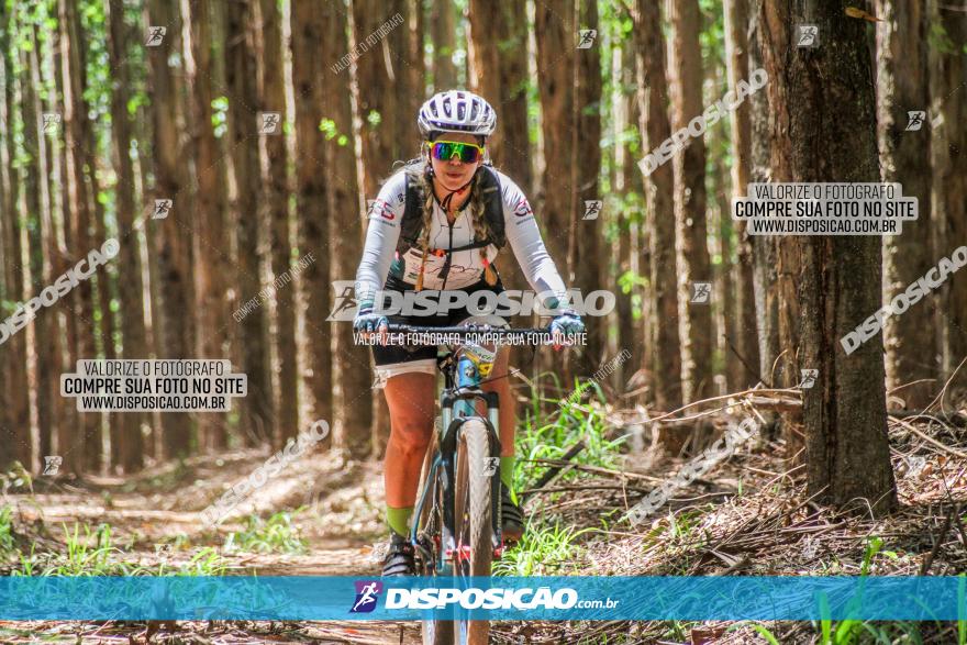 3° Desafio 100km de Terra