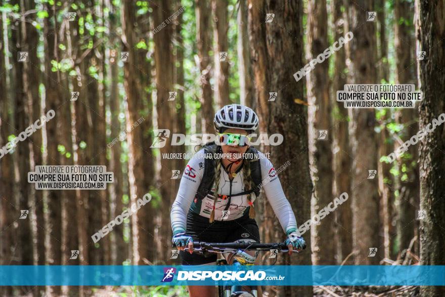 3° Desafio 100km de Terra