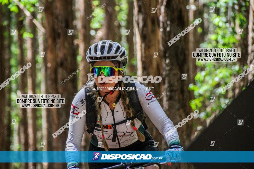 3° Desafio 100km de Terra