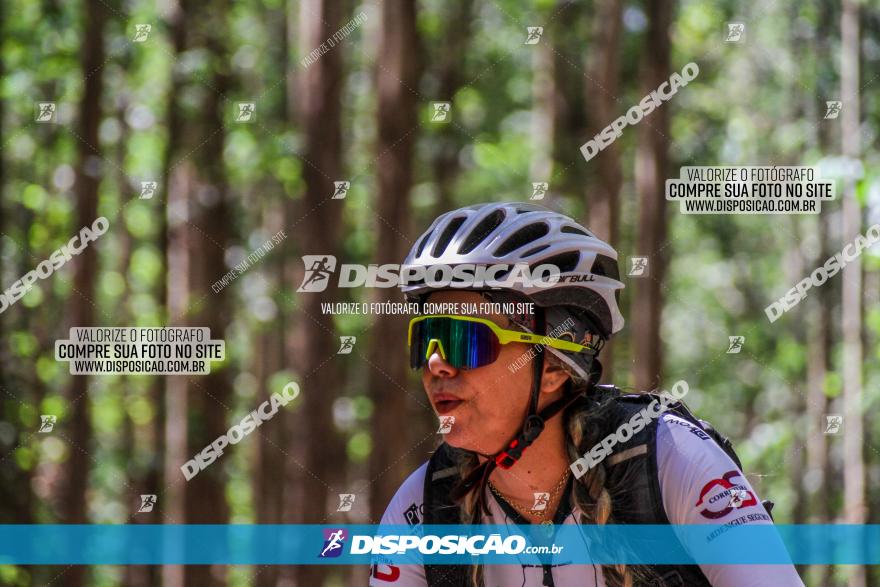 3° Desafio 100km de Terra