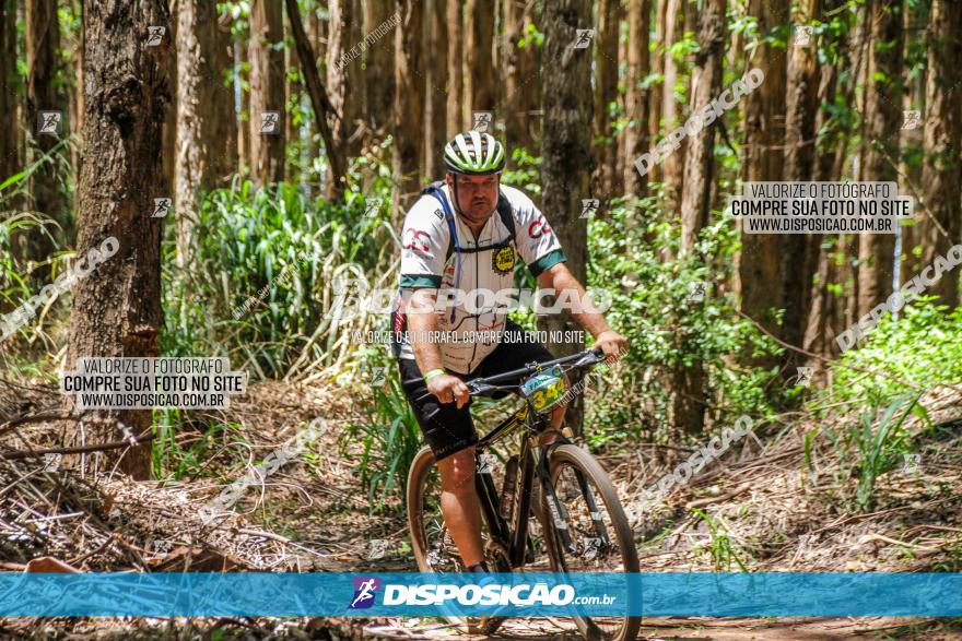 3° Desafio 100km de Terra