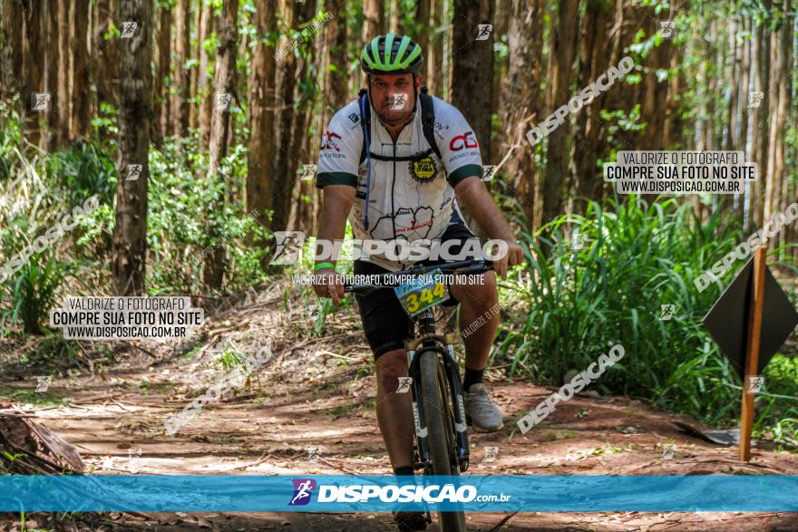 3° Desafio 100km de Terra