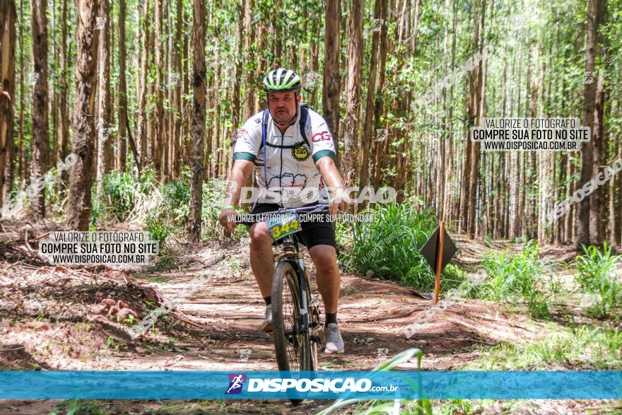 3° Desafio 100km de Terra