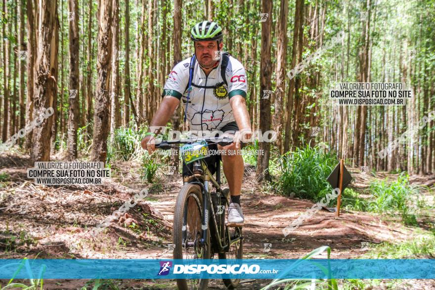 3° Desafio 100km de Terra