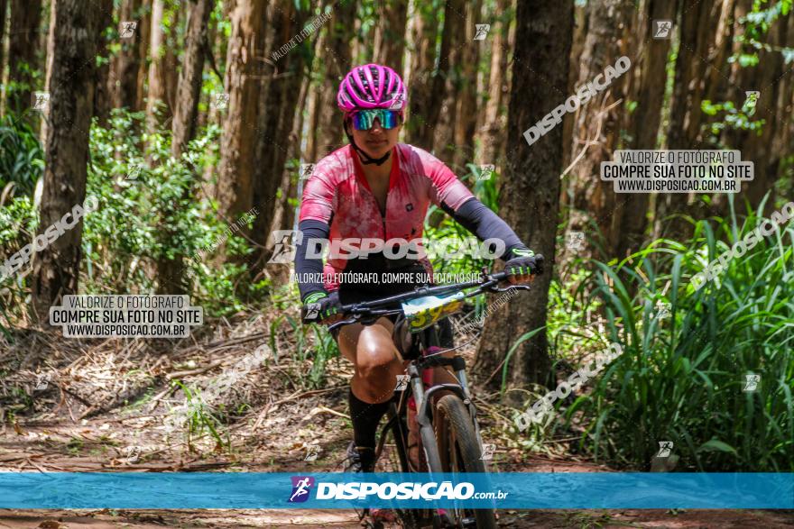 3° Desafio 100km de Terra