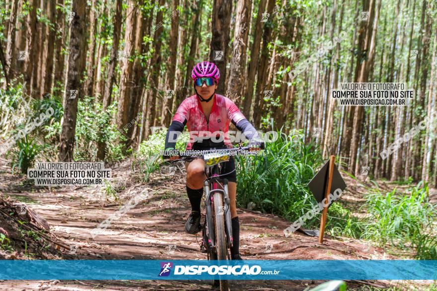 3° Desafio 100km de Terra