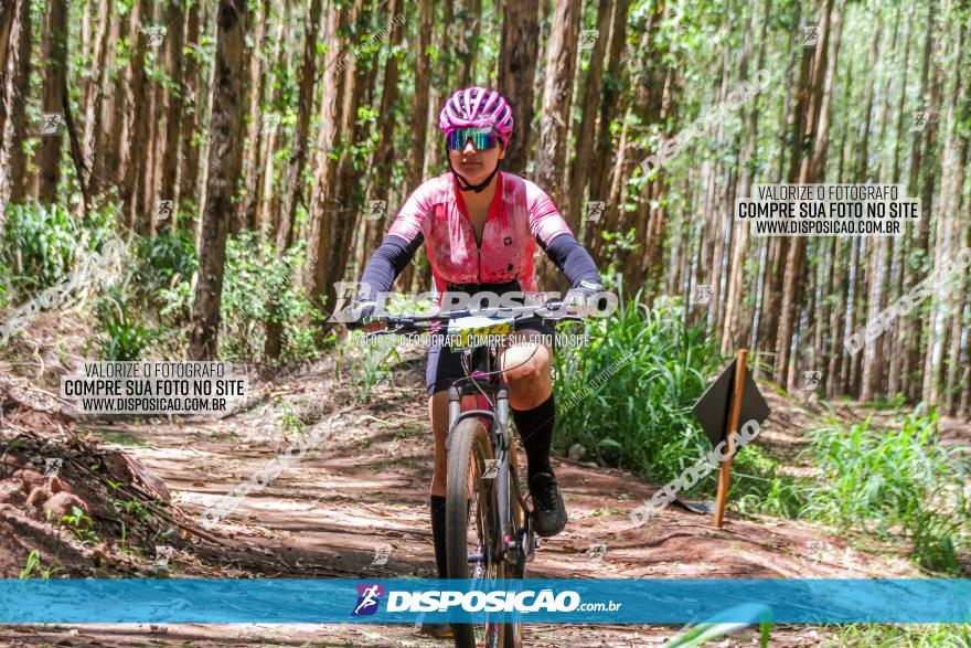 3° Desafio 100km de Terra