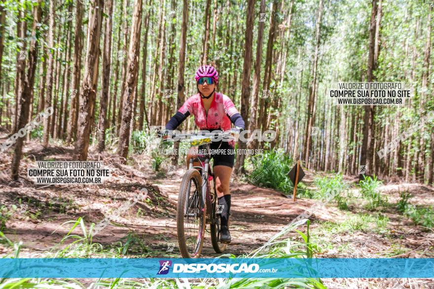 3° Desafio 100km de Terra