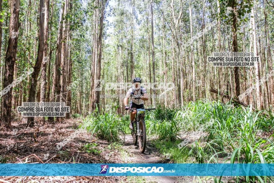 3° Desafio 100km de Terra