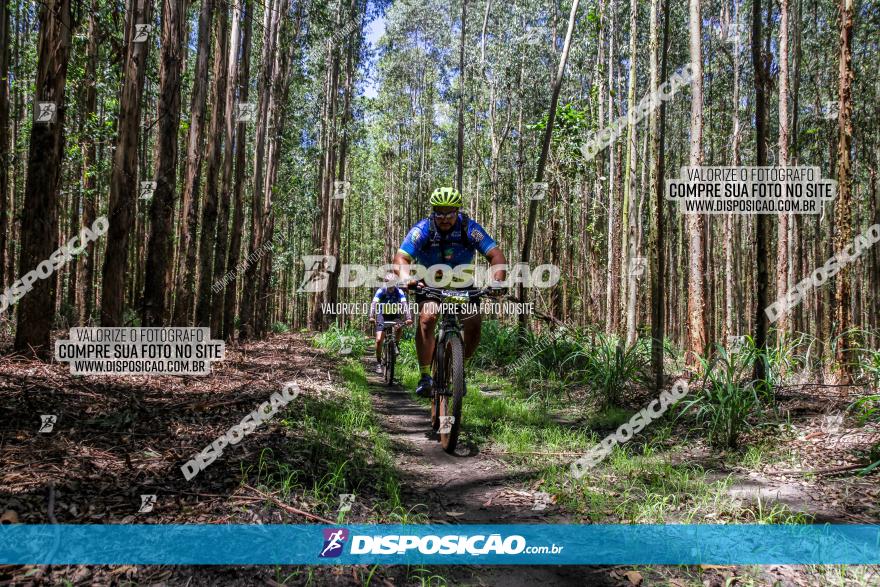 3° Desafio 100km de Terra