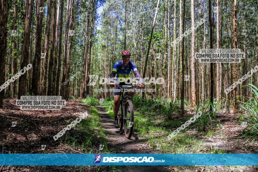 3° Desafio 100km de Terra