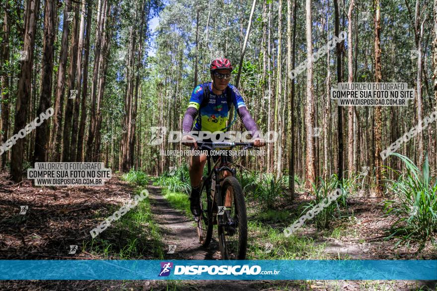 3° Desafio 100km de Terra