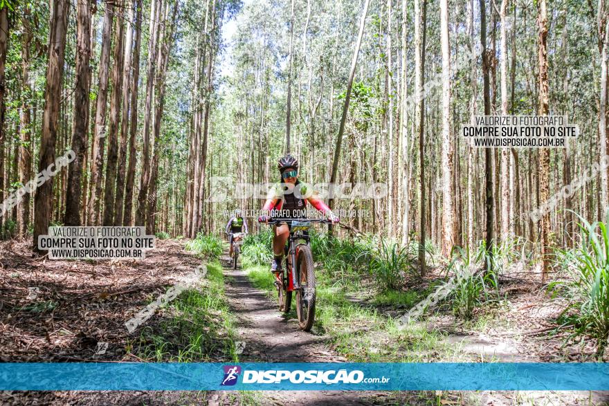 3° Desafio 100km de Terra