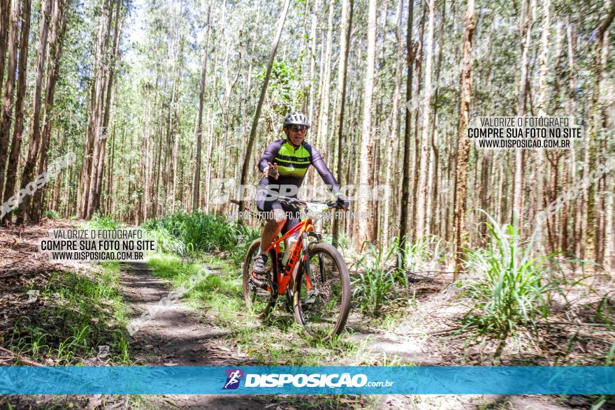 3° Desafio 100km de Terra