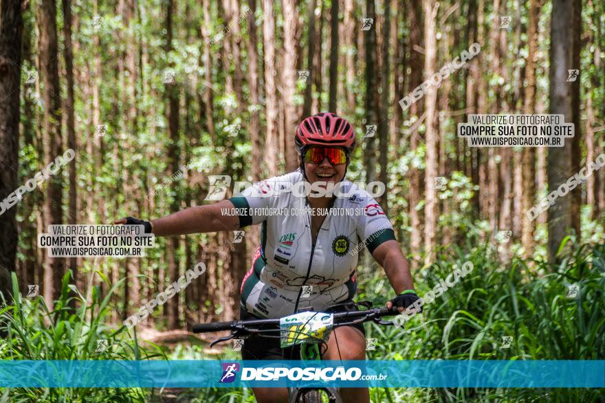 3° Desafio 100km de Terra