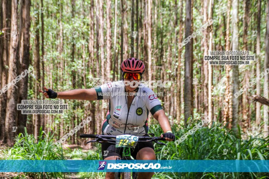 3° Desafio 100km de Terra