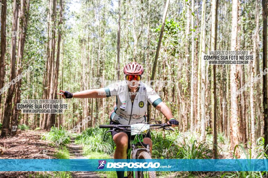 3° Desafio 100km de Terra