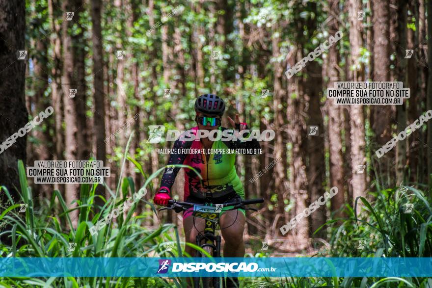 3° Desafio 100km de Terra