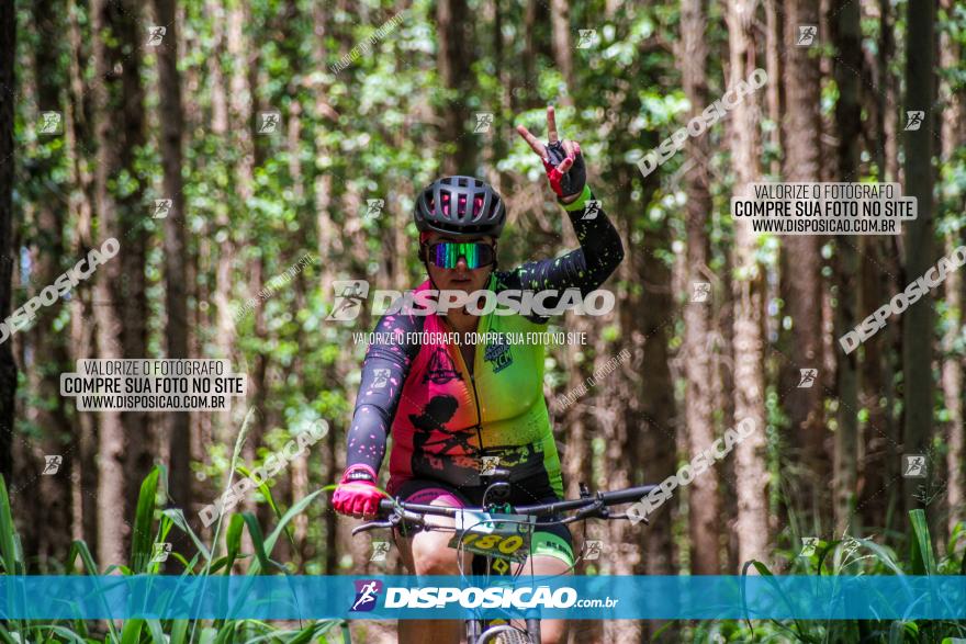 3° Desafio 100km de Terra