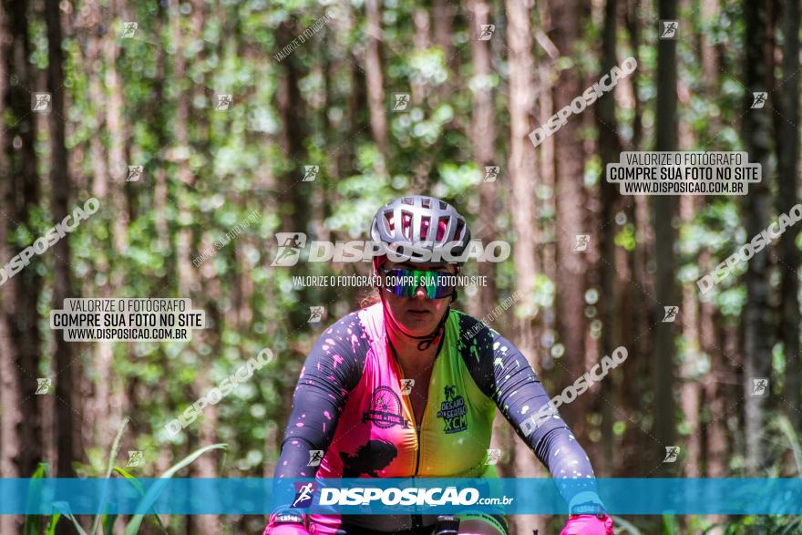 3° Desafio 100km de Terra