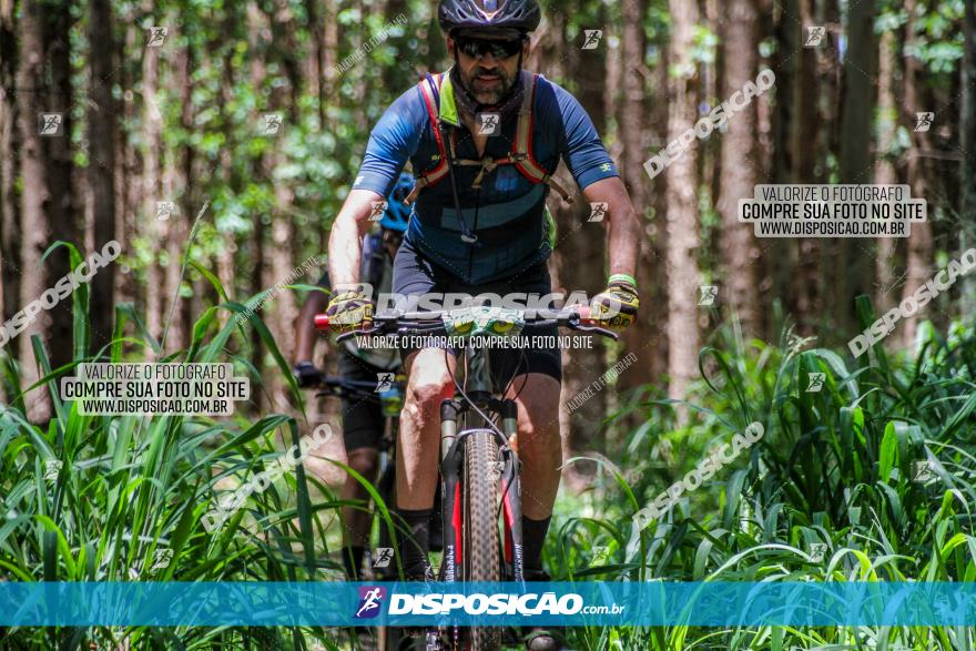 3° Desafio 100km de Terra