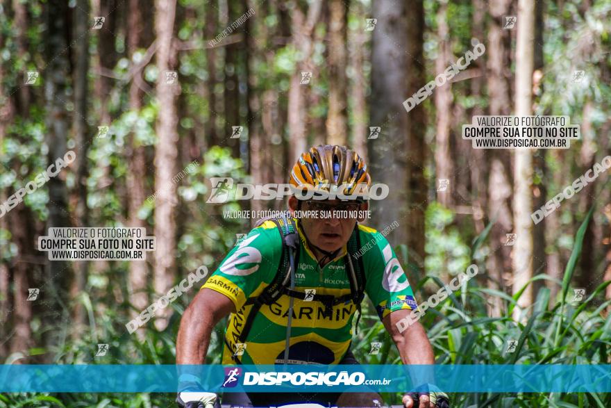 3° Desafio 100km de Terra