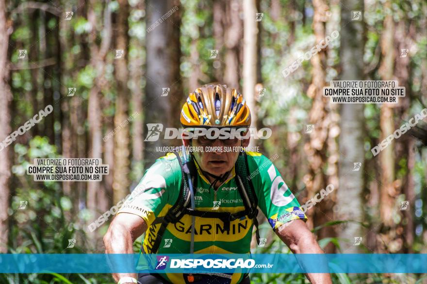 3° Desafio 100km de Terra