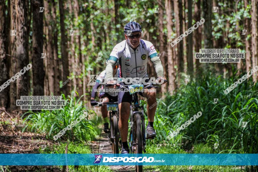 3° Desafio 100km de Terra