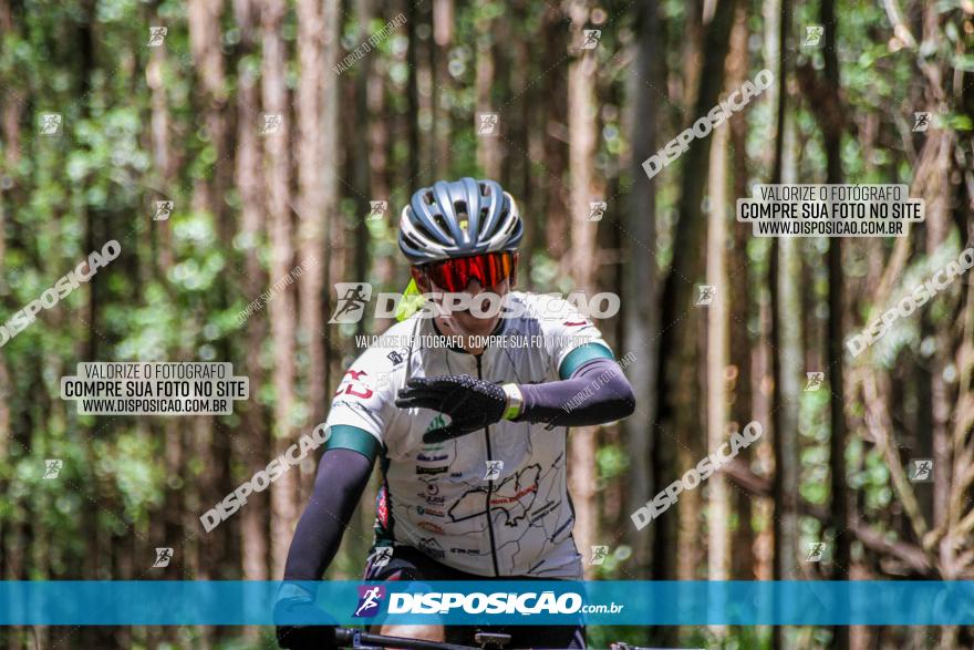 3° Desafio 100km de Terra