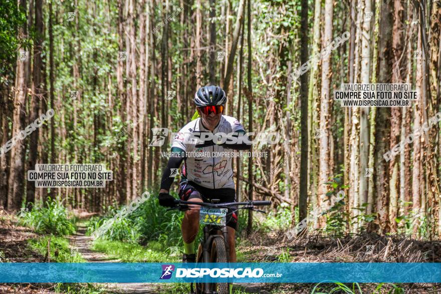 3° Desafio 100km de Terra