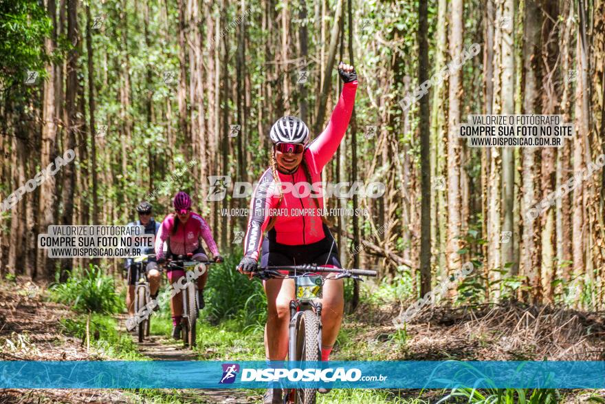 3° Desafio 100km de Terra