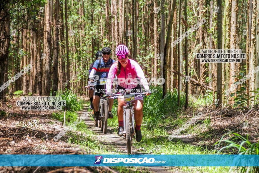 3° Desafio 100km de Terra