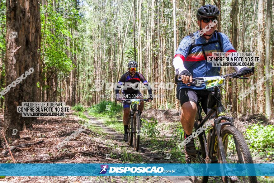 3° Desafio 100km de Terra