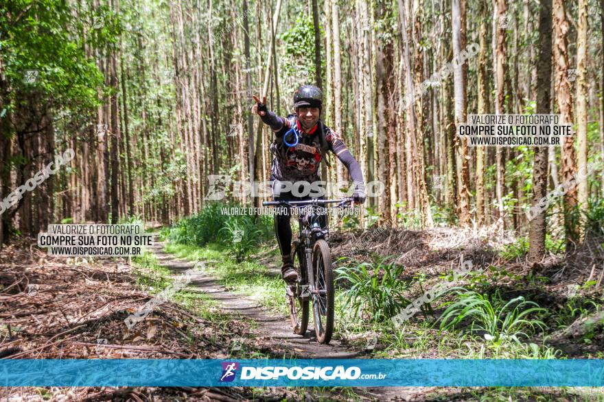 3° Desafio 100km de Terra