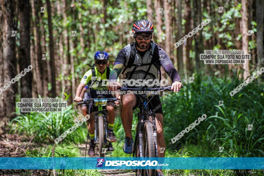 3° Desafio 100km de Terra