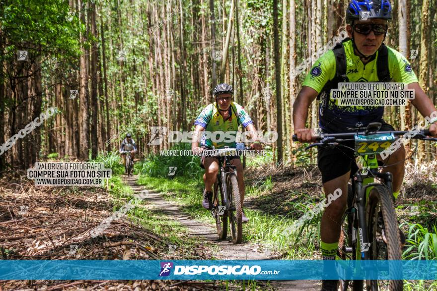 3° Desafio 100km de Terra