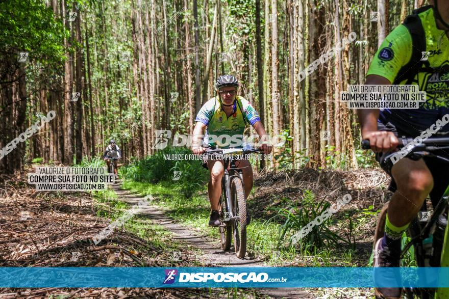 3° Desafio 100km de Terra