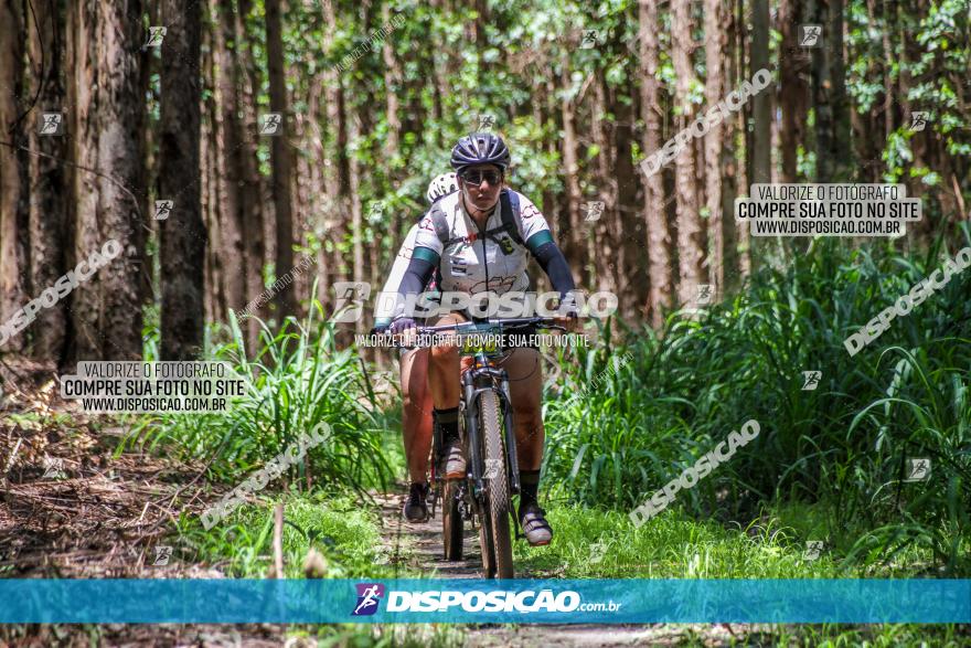 3° Desafio 100km de Terra